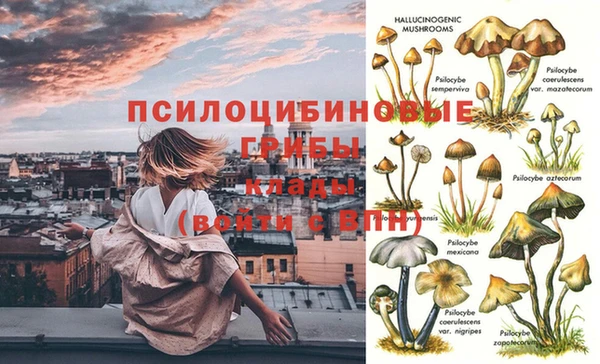герыч Михайловск