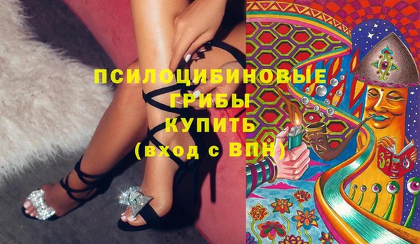 МДПВ Абаза