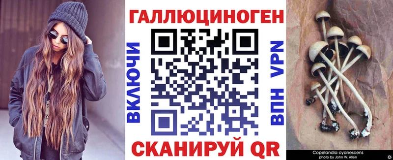 где купить   Екатеринбург  гидра как войти  Галлюциногенные грибы MAGIC MUSHROOMS 
